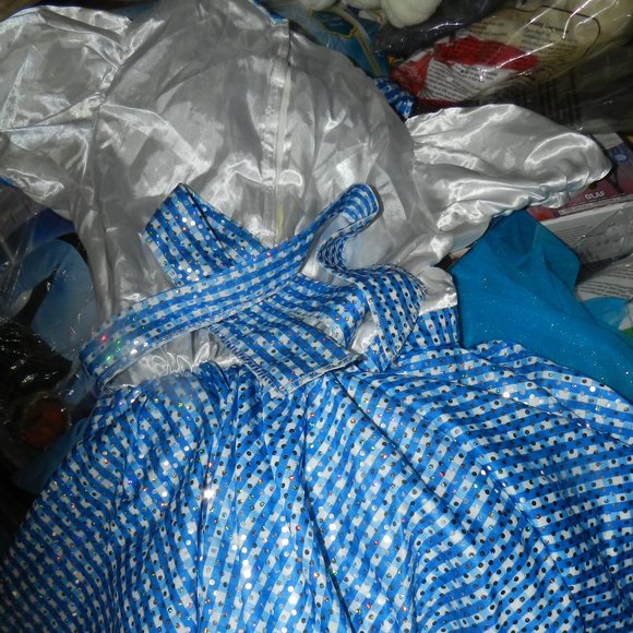 Wizard of Oz Dorothy Dress Costume Adult Halloween Party 🆕FAST😮‍💨⚡🚚 - Picture 5 of 13